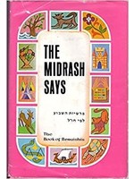 THE MIDRASH SAYS BEREISHIS