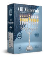 MENORAH FOR OIL SILVER PLATE 10"