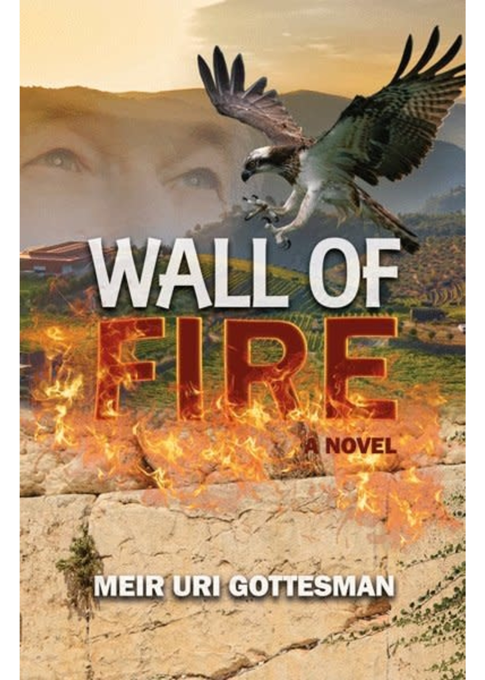 WALL OF FIRE - GUTTESMAN