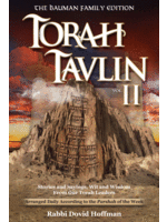 TORAH TAVLIN VOLUME 2 [DOVID HOFFMAN]
