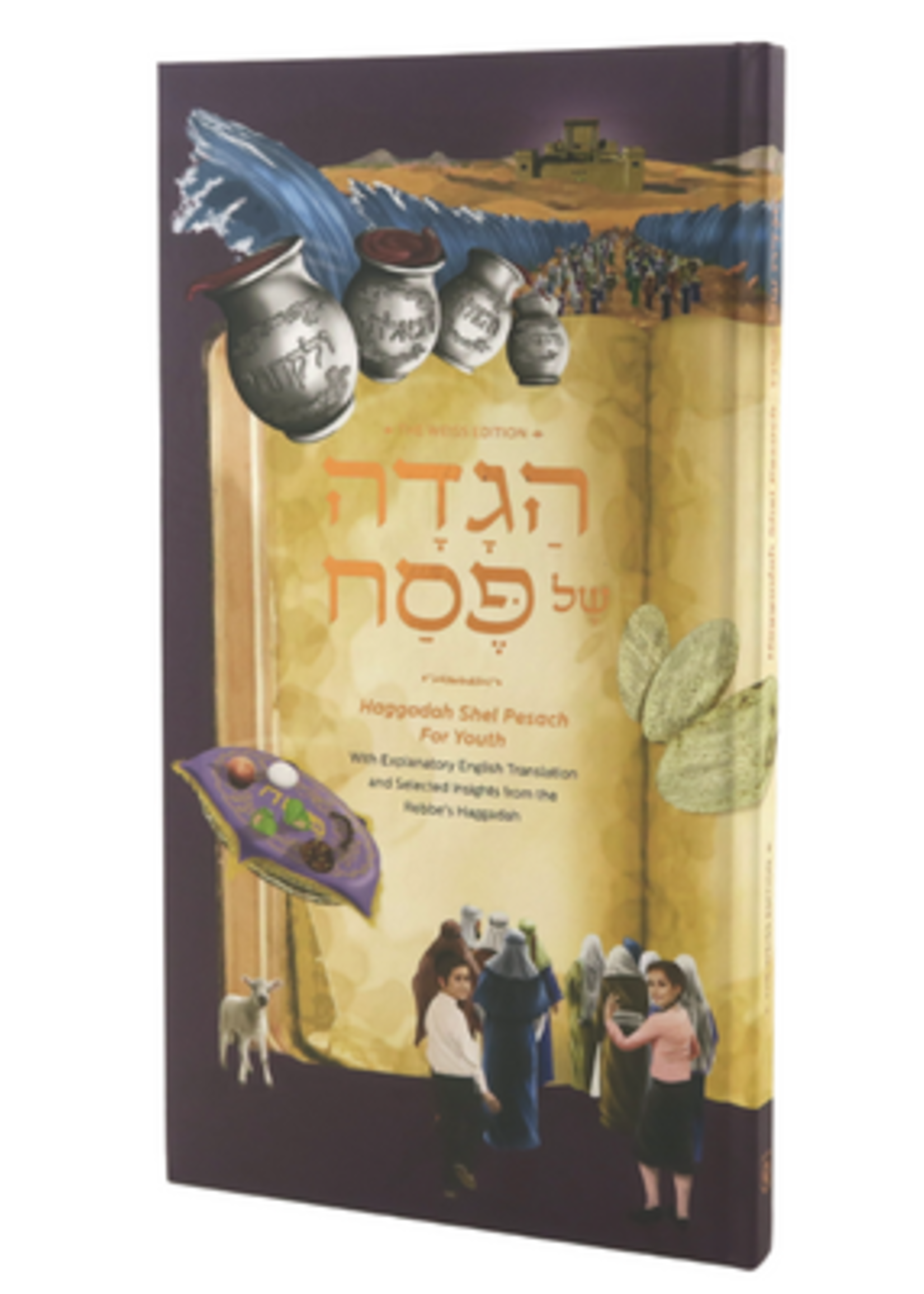 HAGGADAH SHEL PESACH FOR YOUTH CHABAD  ILLUSTRATED WEISS EDITION
