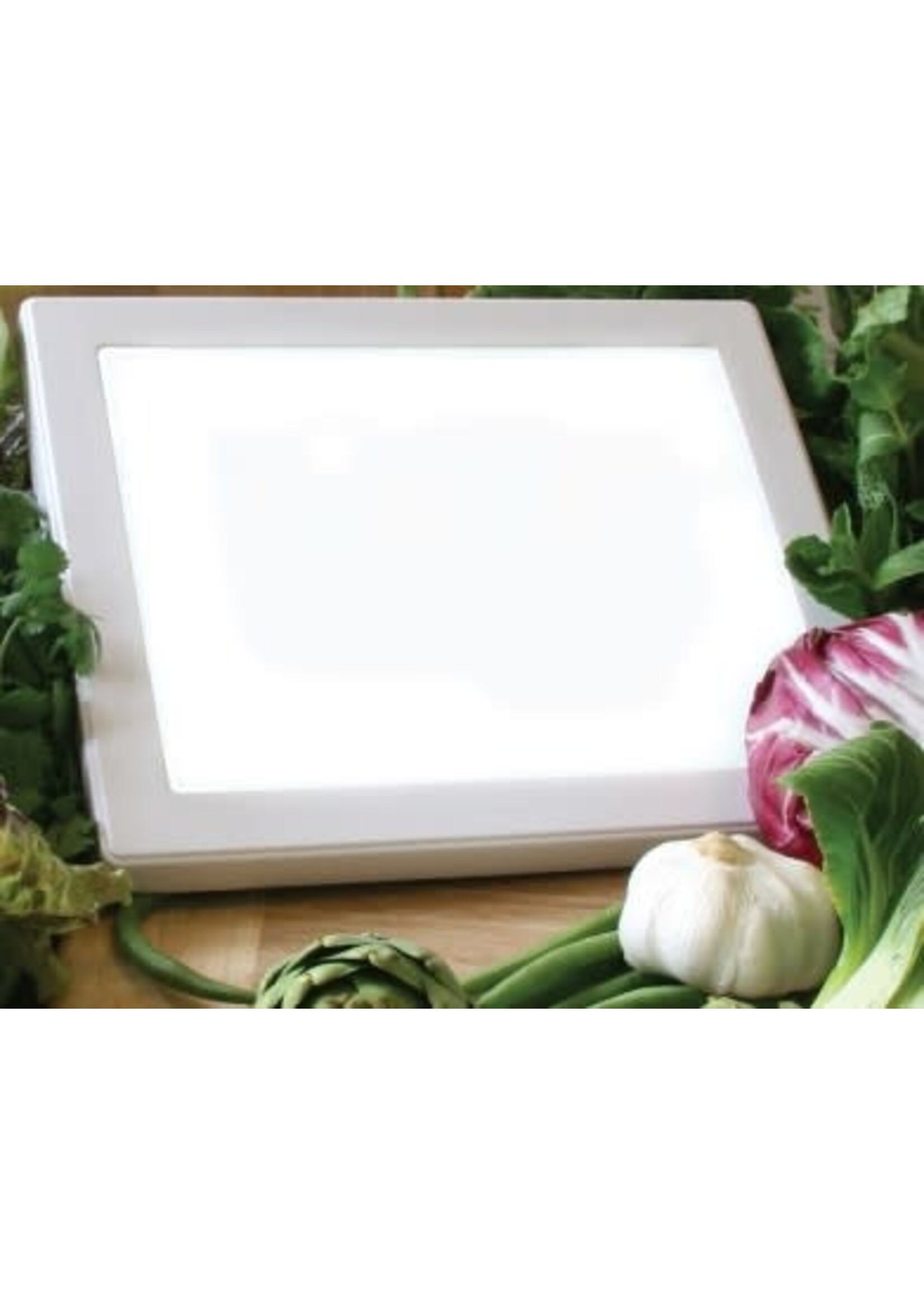 BUG CHECKER LIGHT BOARD