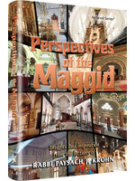 PERSPECTIVES OF THE MAGGID