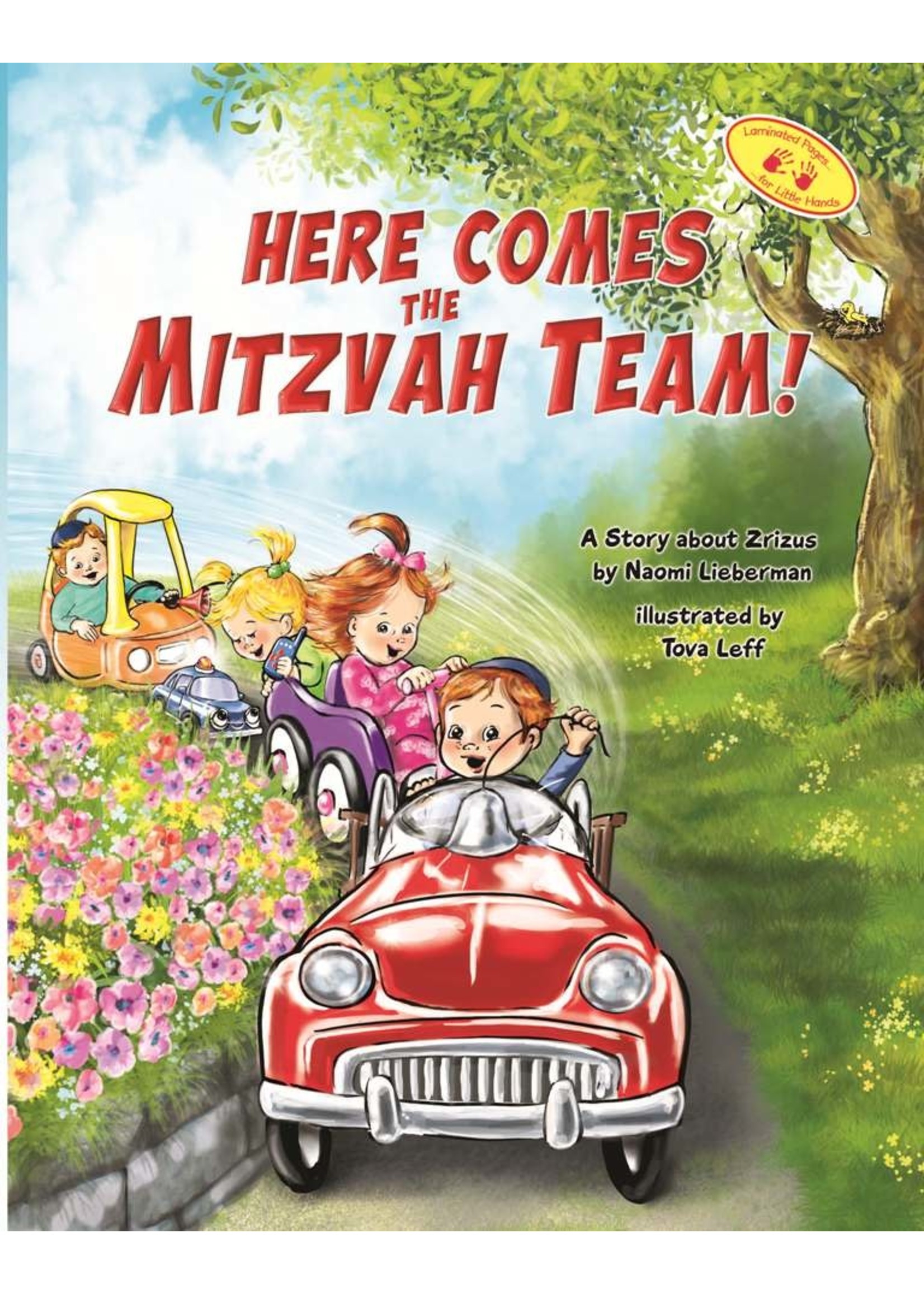 HERE COMES THE MITZVAH TEAM [NAOMI LIEBERMAN]