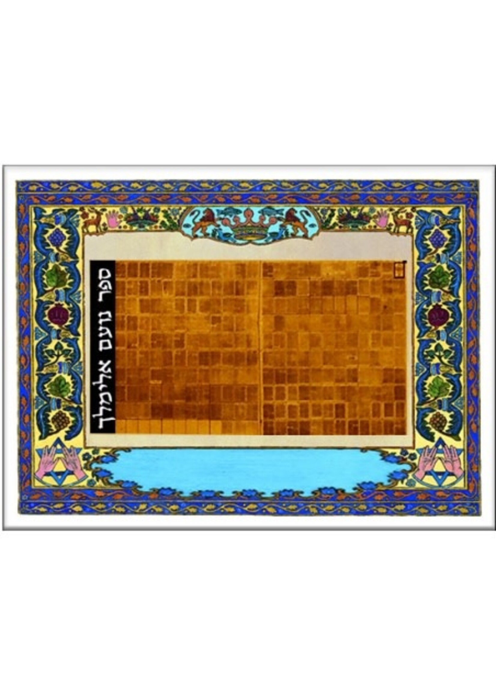 NOAM ELIMELECH BOOK ON MICROFILM