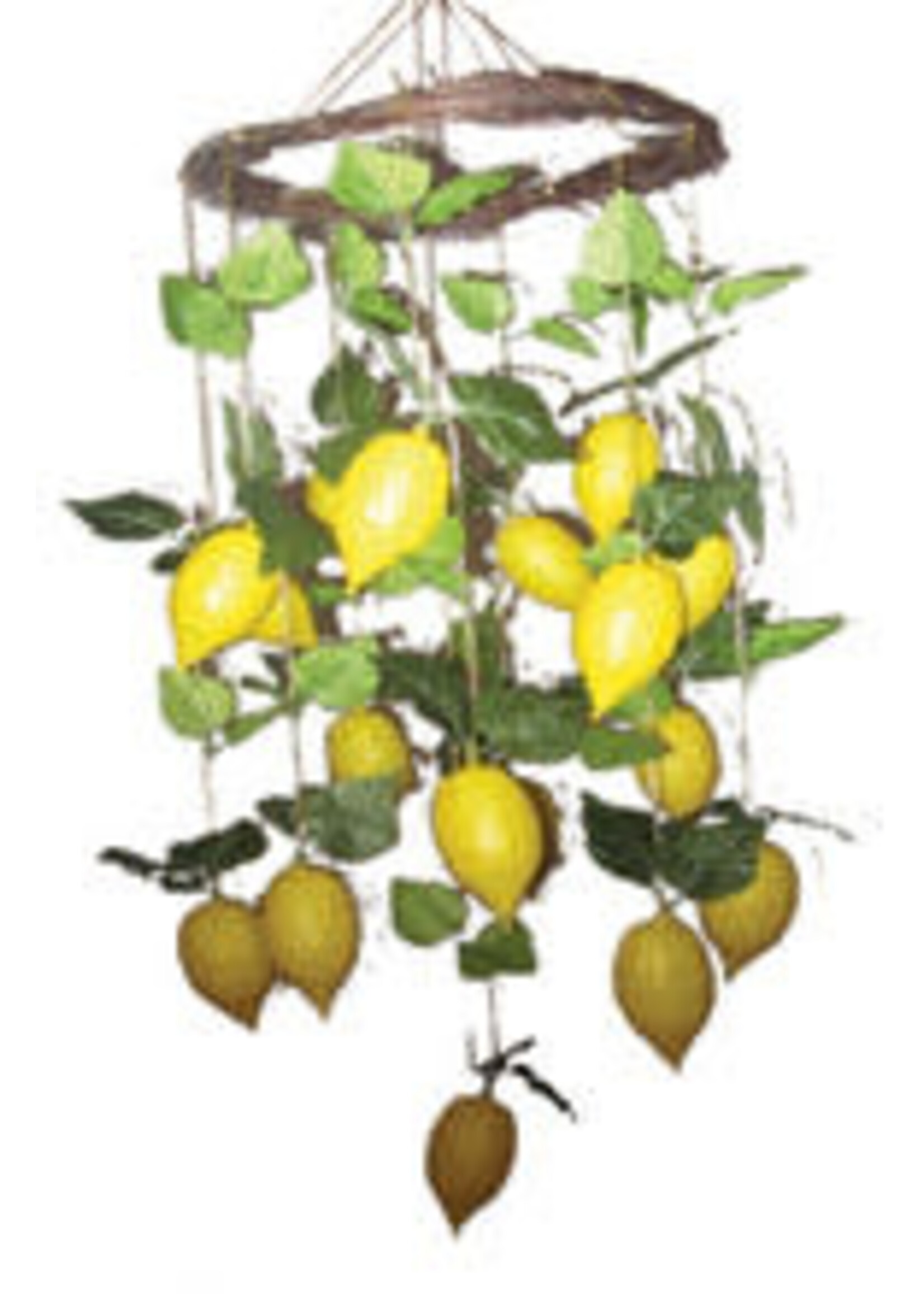 HANGING RING ETROG 30"