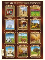 SUKKAH POSTER 12 SHEVATIM