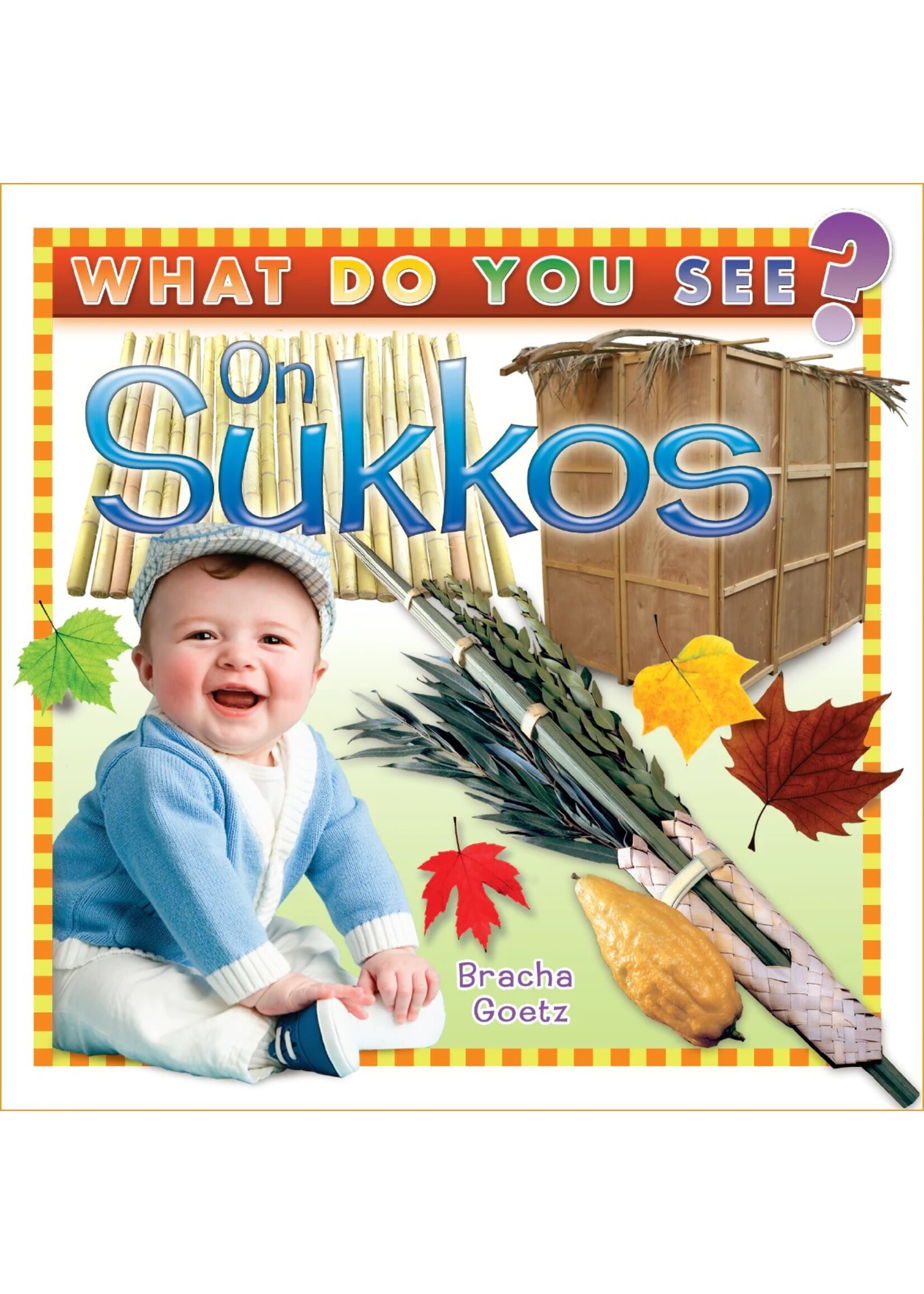 WHAT DO YOU SEE? ON SUKKOS