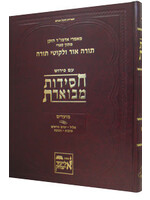CHASSIDUS MEVOERES MOADIM # 1