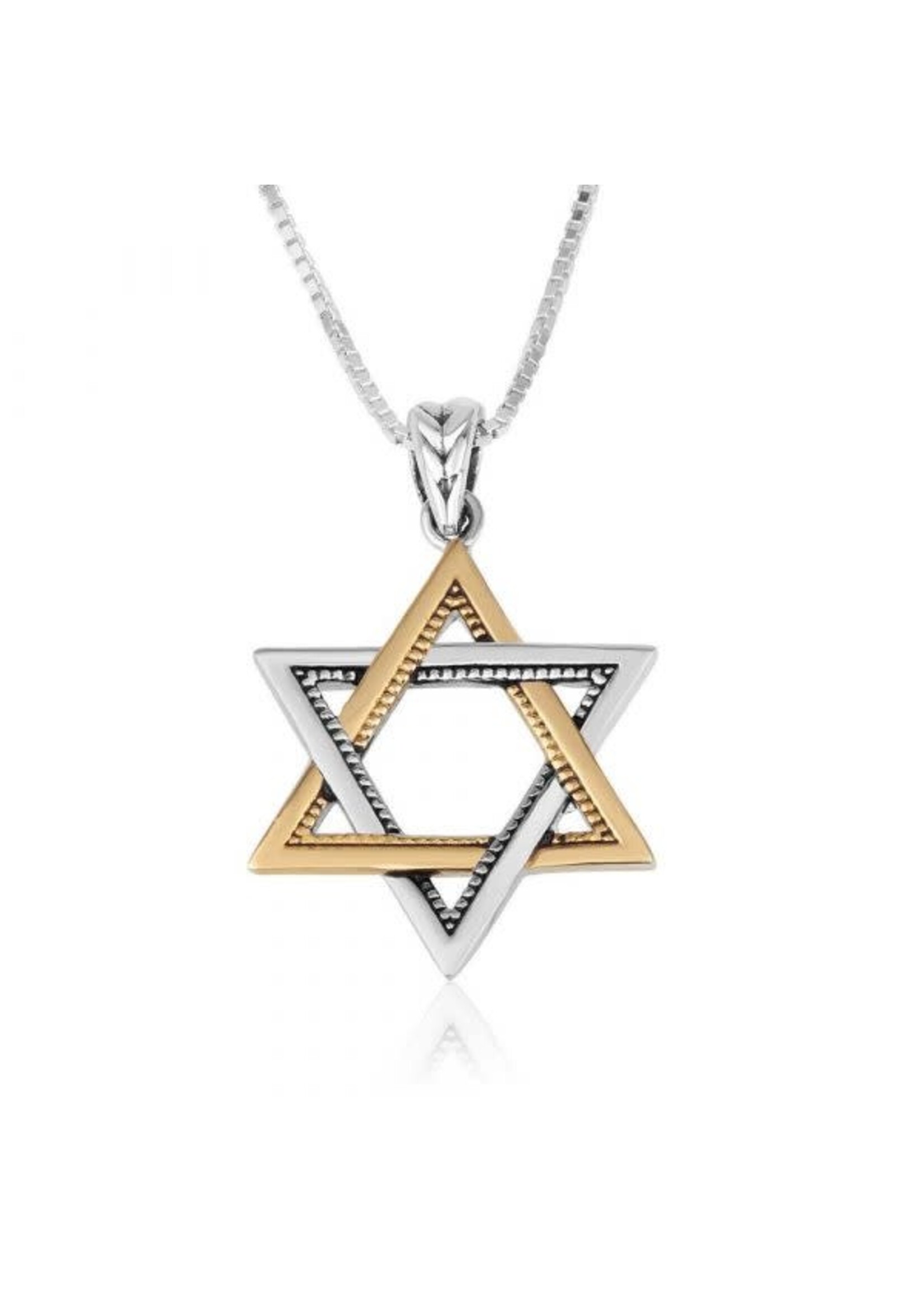 NECKLACE STERLING SILVER AND GOLD POLISH MAGUEN DAVID