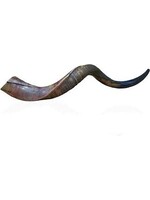 YEMENITE SHOFAR HALF POLISH 50-60 CM