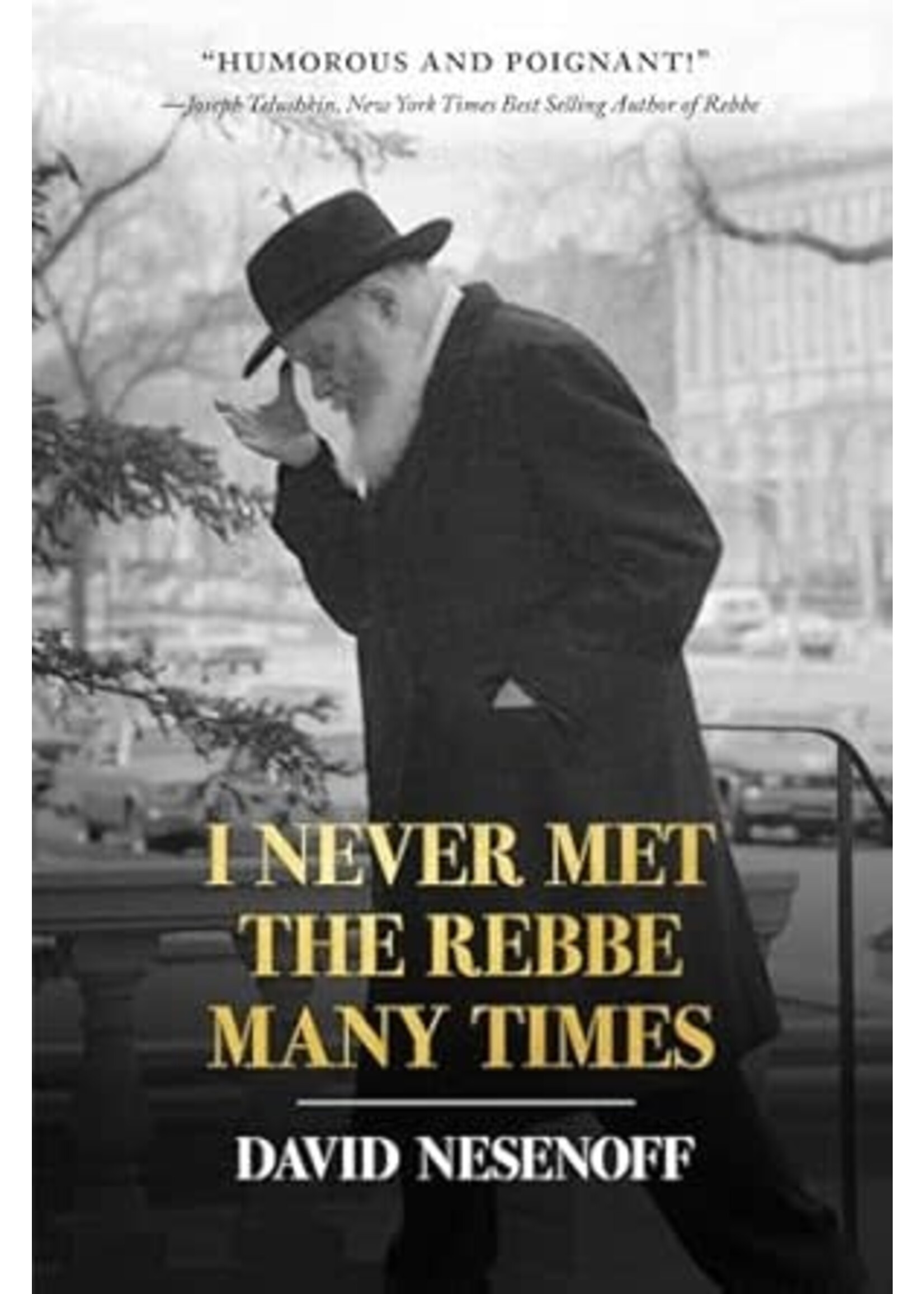 I NEVER MET THE REBBE MANY TIMES