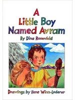 A LITTLE BOY NAMED AVRAM - DINA ROSENFELD