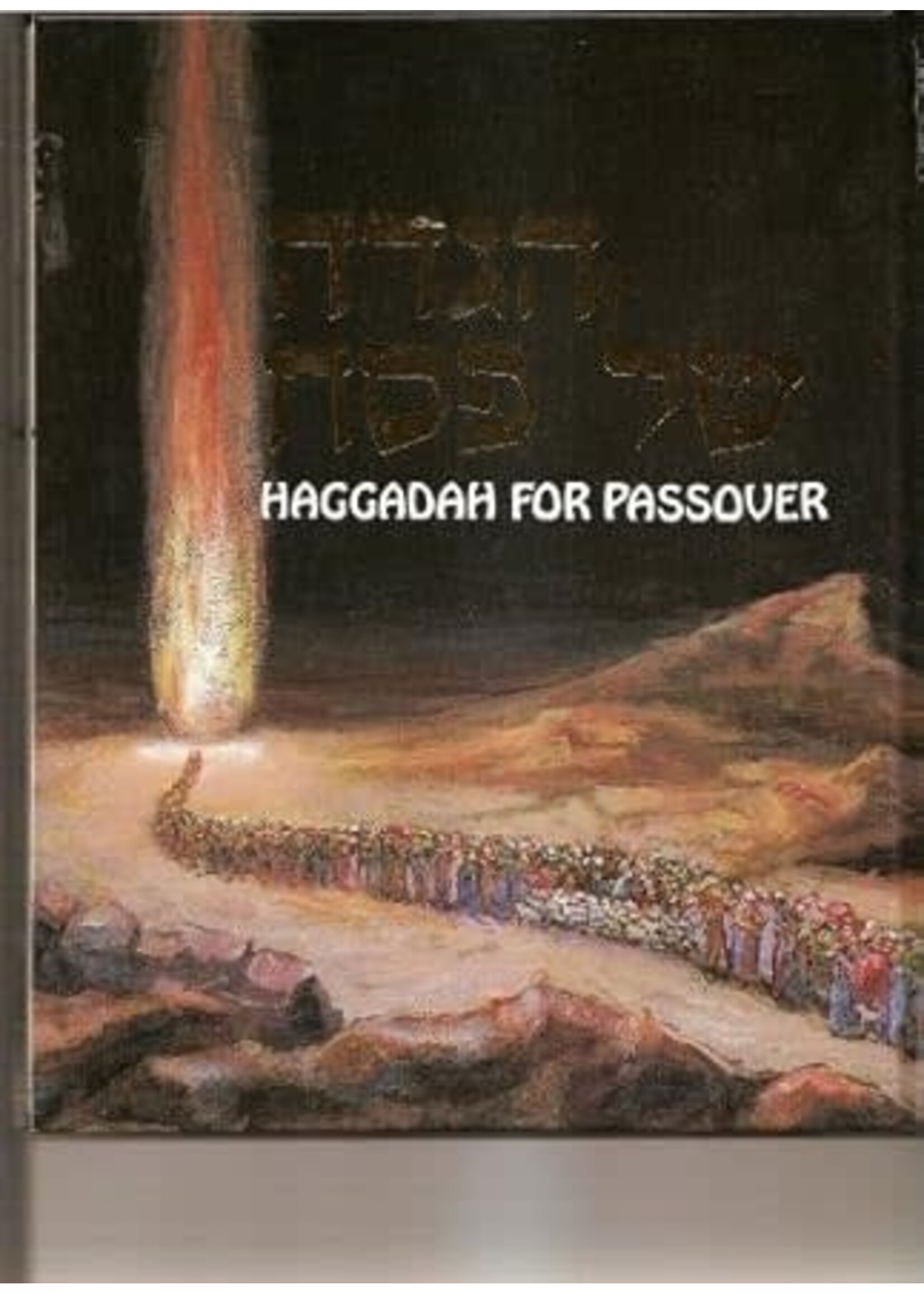 HAGGADAH FOR PASSOVER KLEINMAN FULL SIZE