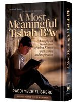 A MOST MEANINGFUL TISHA B'AV [RABBI YECHEIL SPERO]