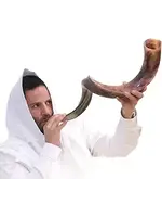 YEMENITE SHOFAR HALF POLISH 80-90 CM