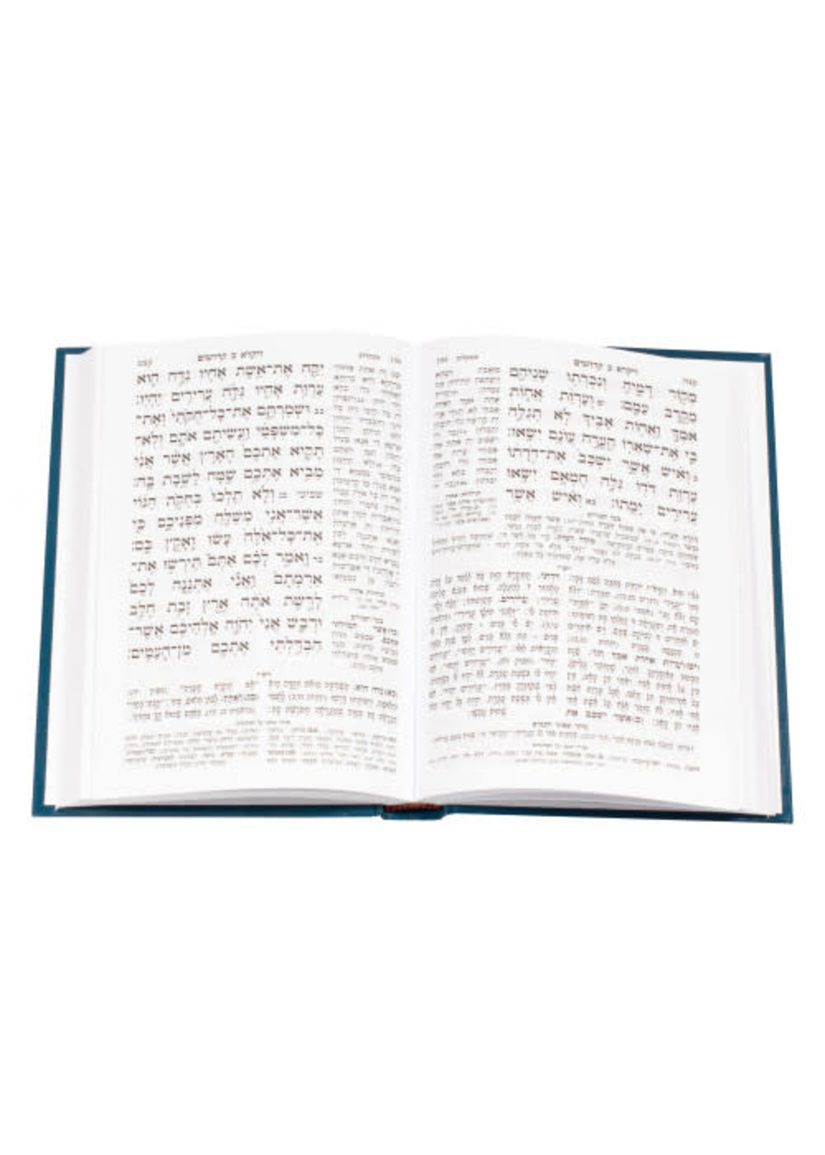 CHUMASH HAMENUKAD CHOREV VAYIKRA 3