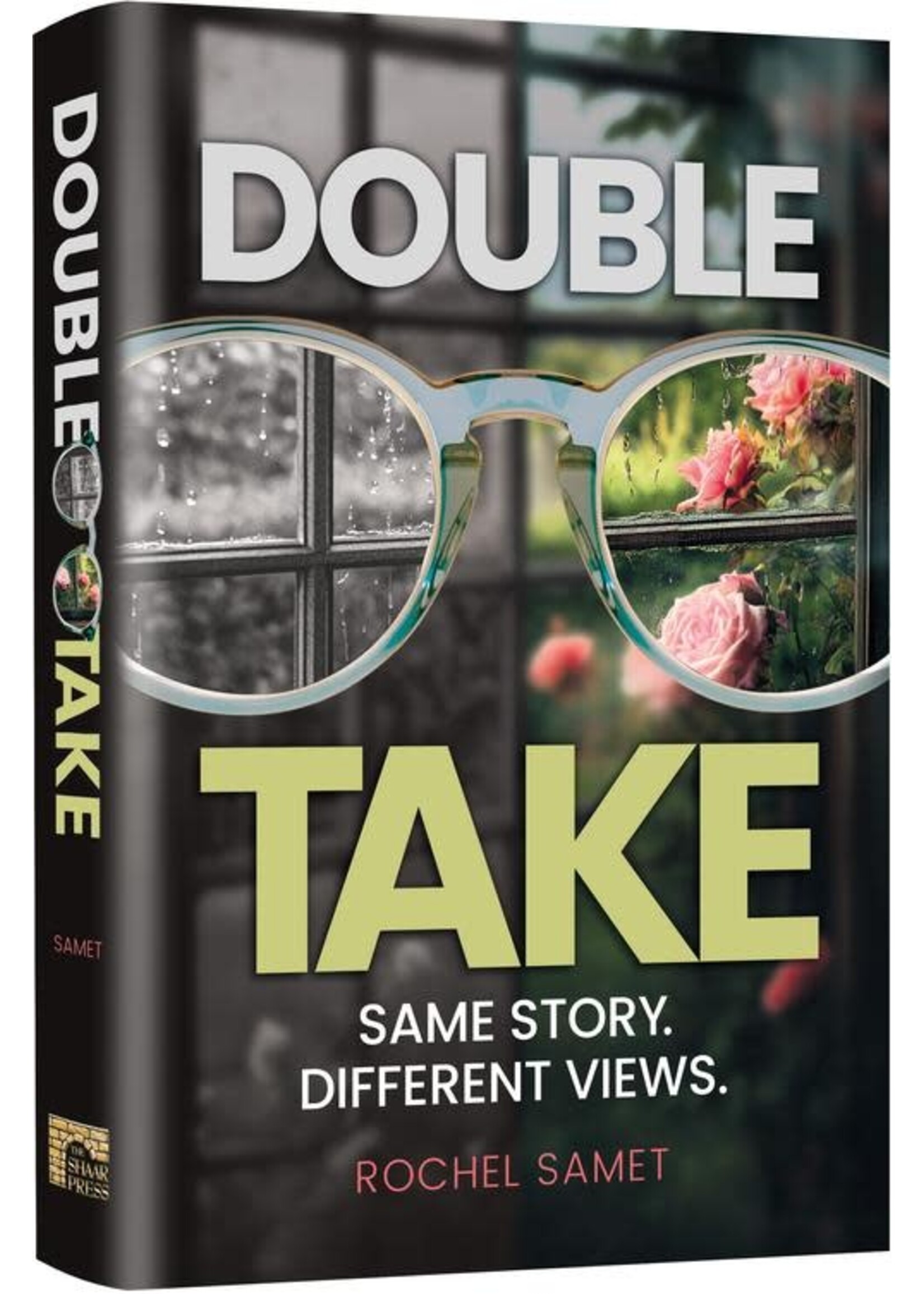 DOUBLE TAKE - SAME STORY DIFFERENT VEIWS