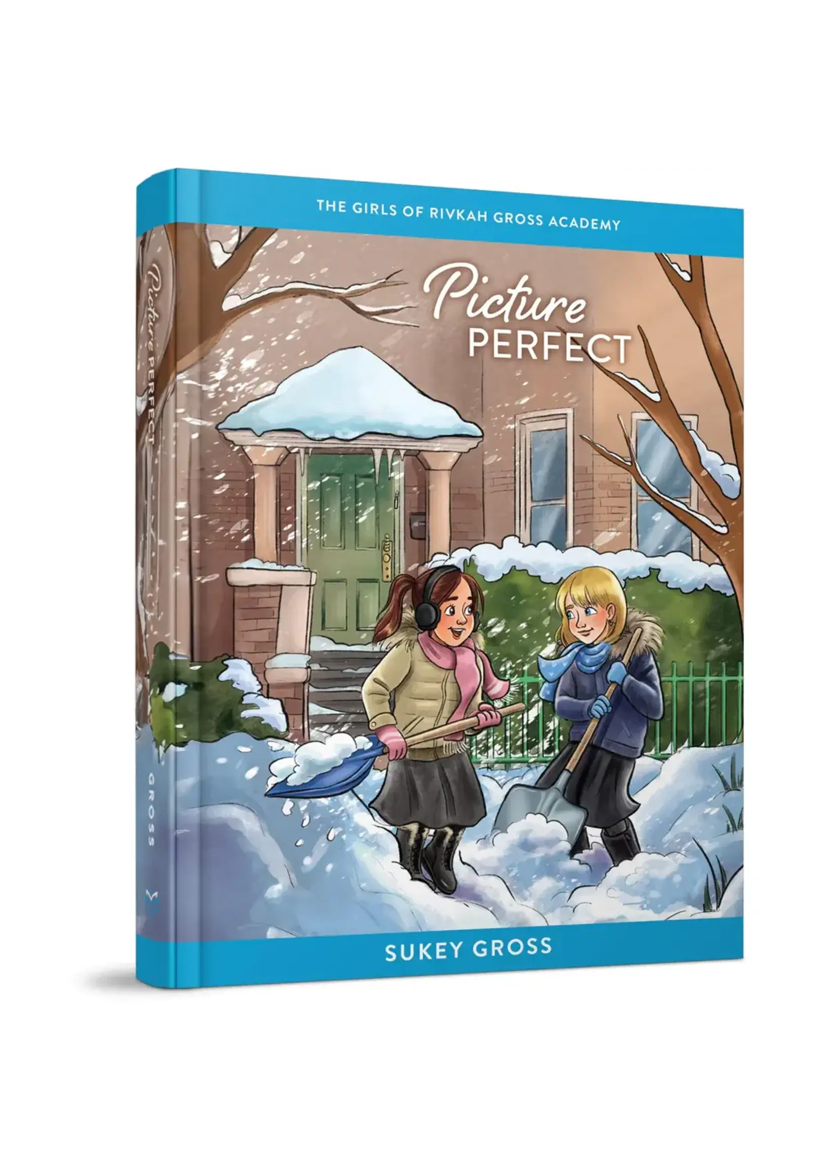PICTURE PERFECT - RIVKA GROSS ACADEMY SERIES  - SUKEY GROSS