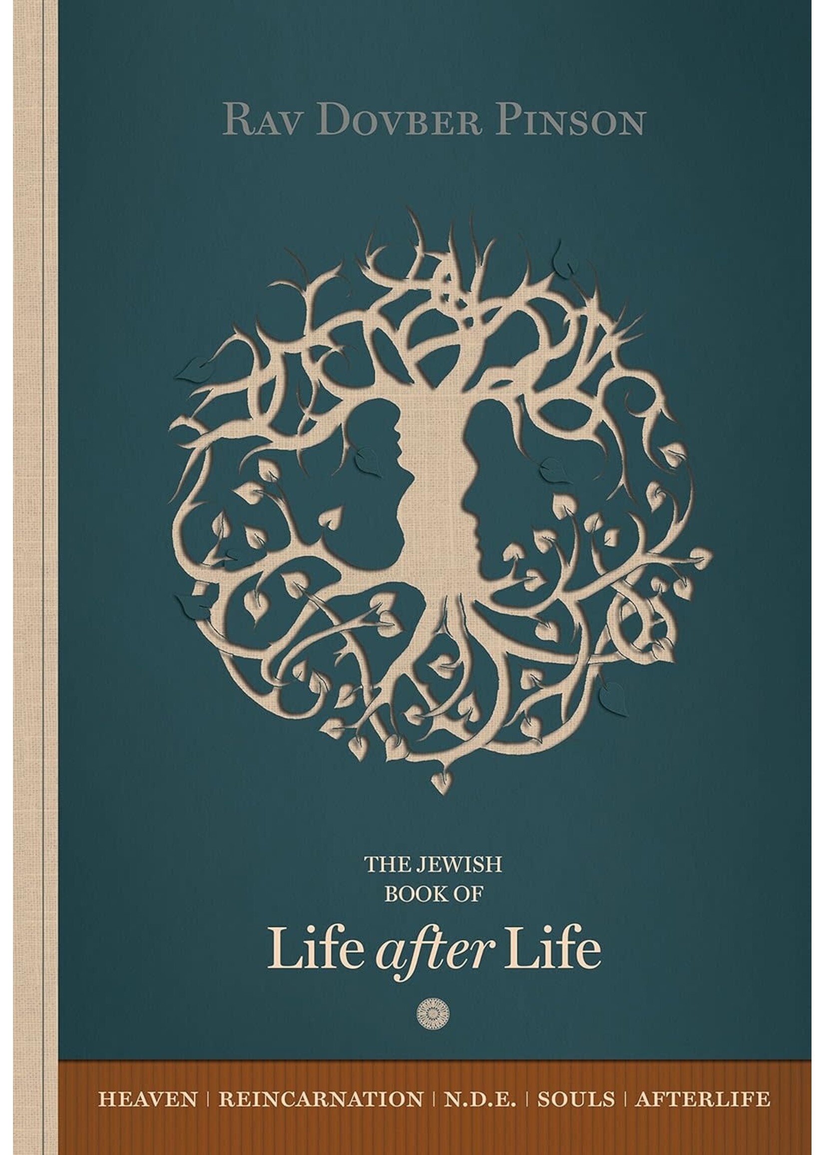 THE BOOK OF LIFE AFTER LIFE  - RAV DOVBER PINSON
