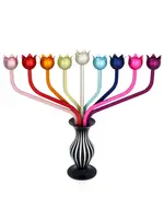 MENORAH RAINBOW ROSES