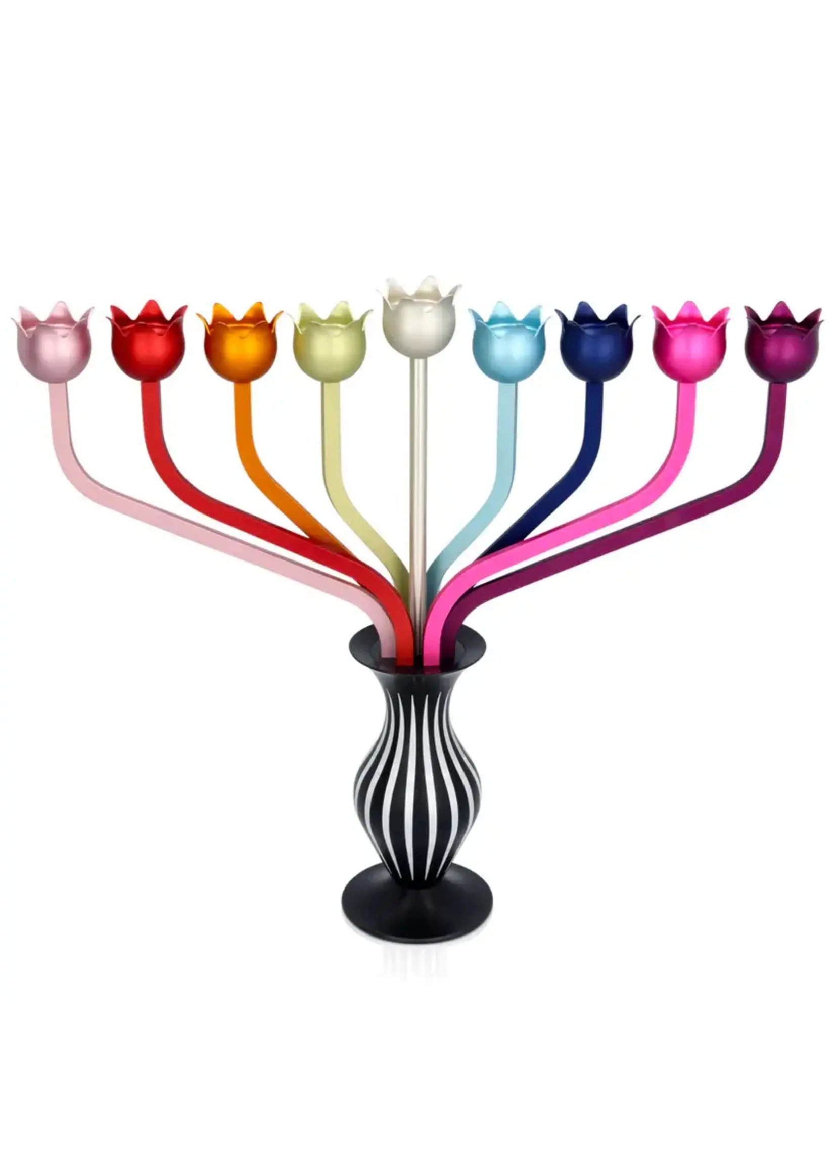 MENORAH RAINBOW ROSES