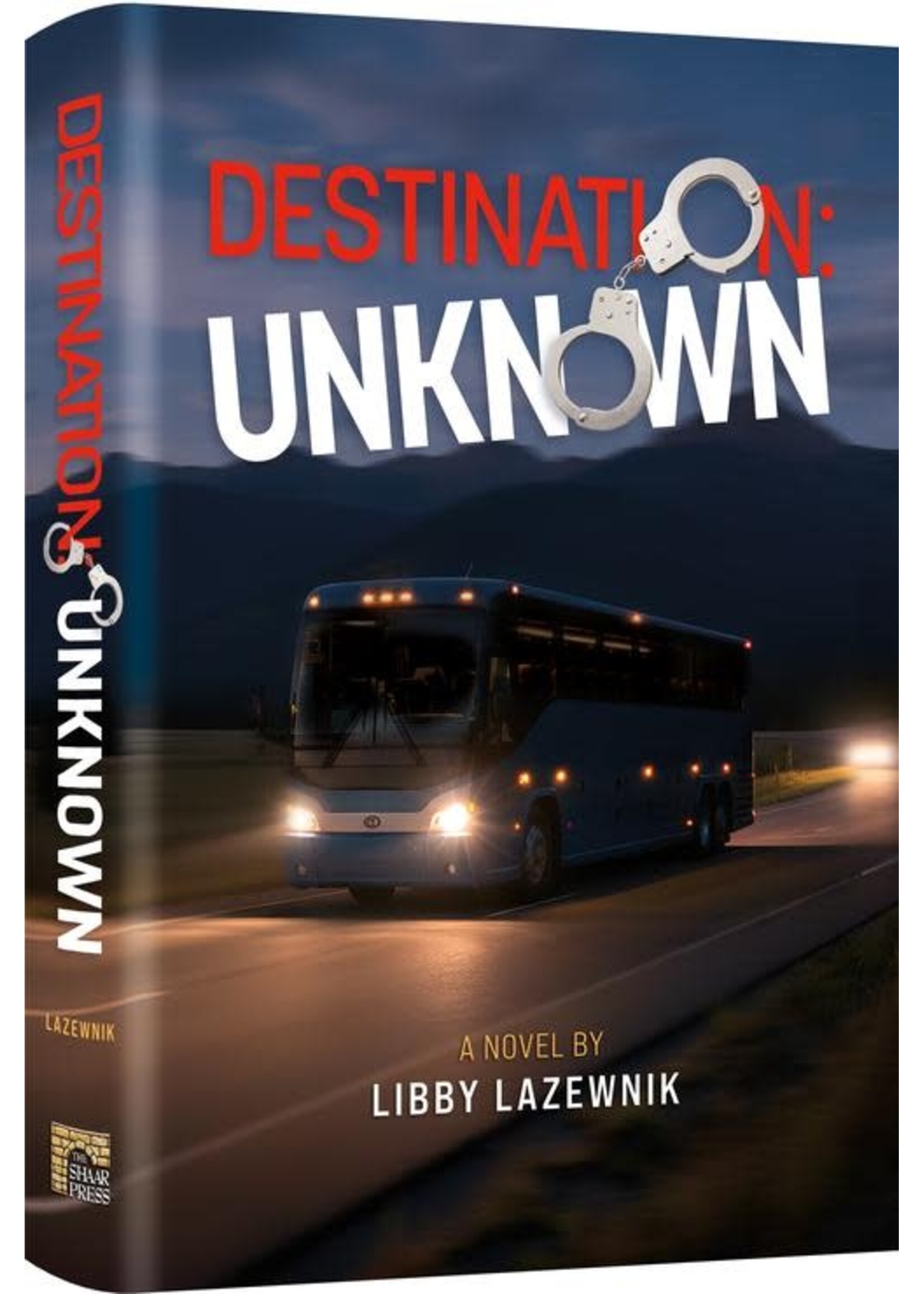 DESTINATION UNKNOWN - LIBBY LAZEWNIK