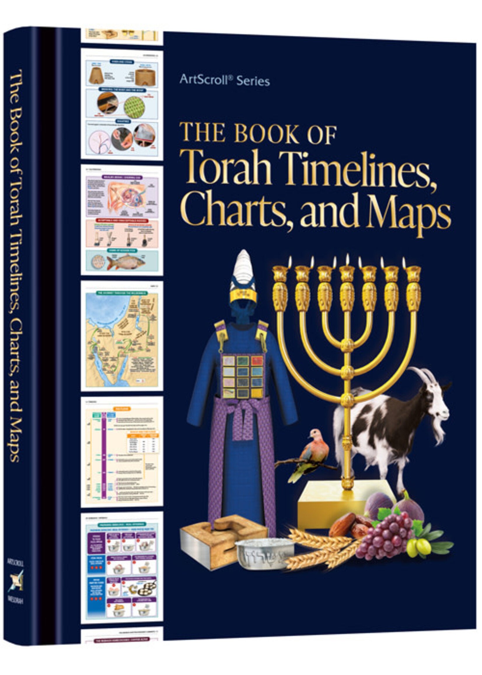 THE BOOK OF TORAH TIMELINES, CHARTS AND MAPS - ENLARGED