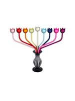 MENORAH RAINBOW ROSES