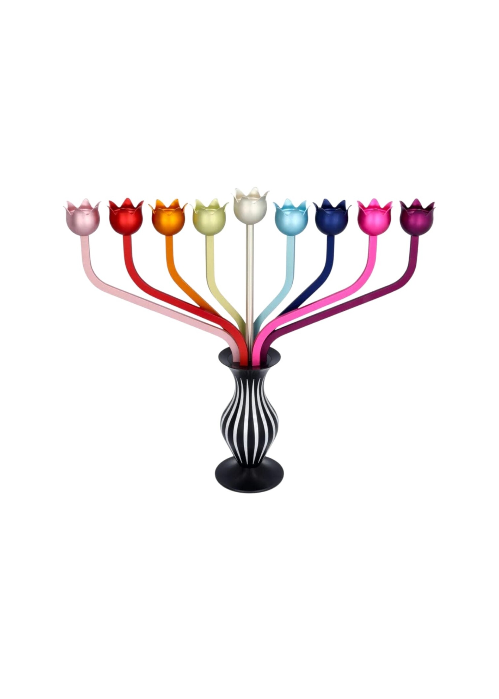 MENORAH RAINBOW ROSES