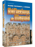 REFLECTIONS OF THE MAGGID - FRENCH - RABBI PAYSACH KROHN