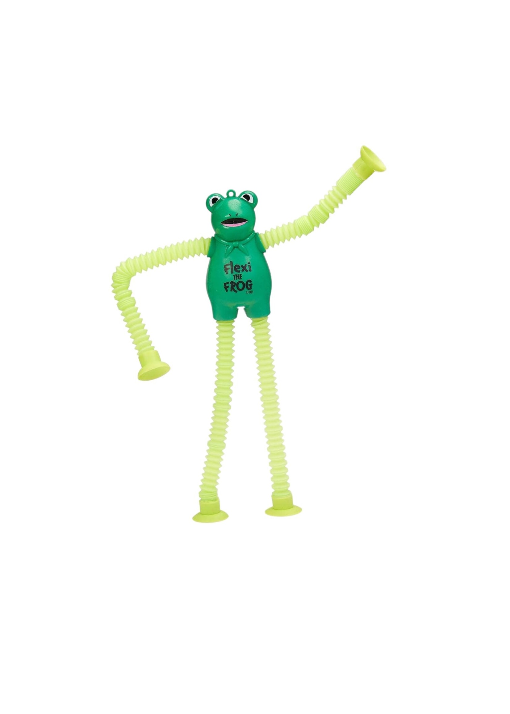 PASSOVER "FLEXI THE FROG" POP TUBE TOY