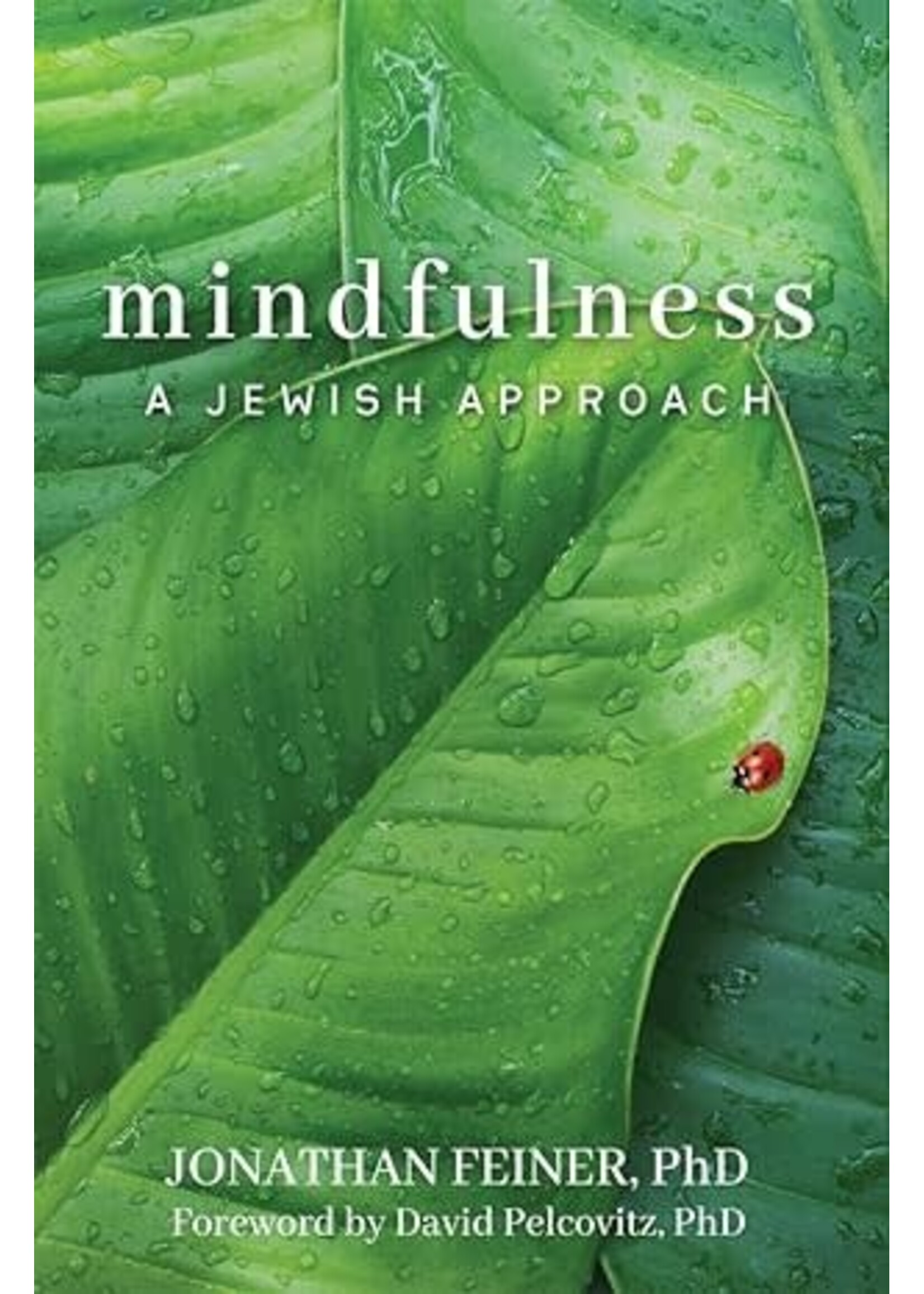 MINDFULNESS - A JEWISH APPROACH HARDCOVER