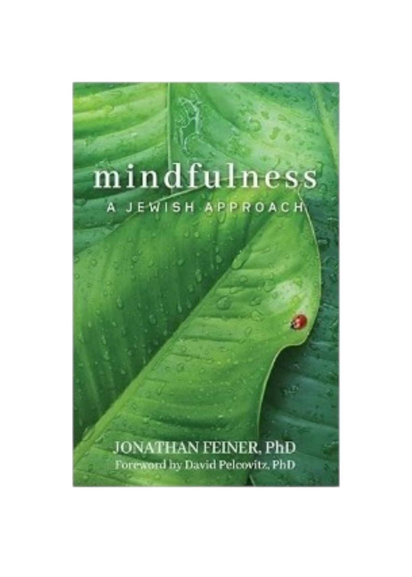 MINDFULNESS - A JEWISH APPROACH HARDCOVER [JONATHAN FEINER]