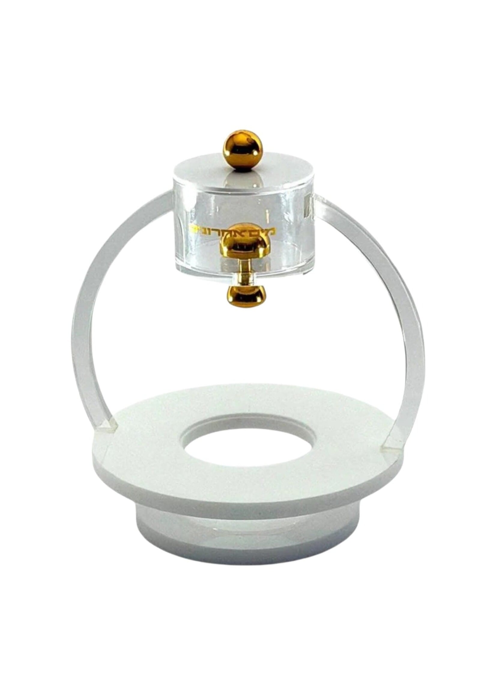 MAYIM ACHRONIM ACRYLIC WITH GOLD HARDWARE