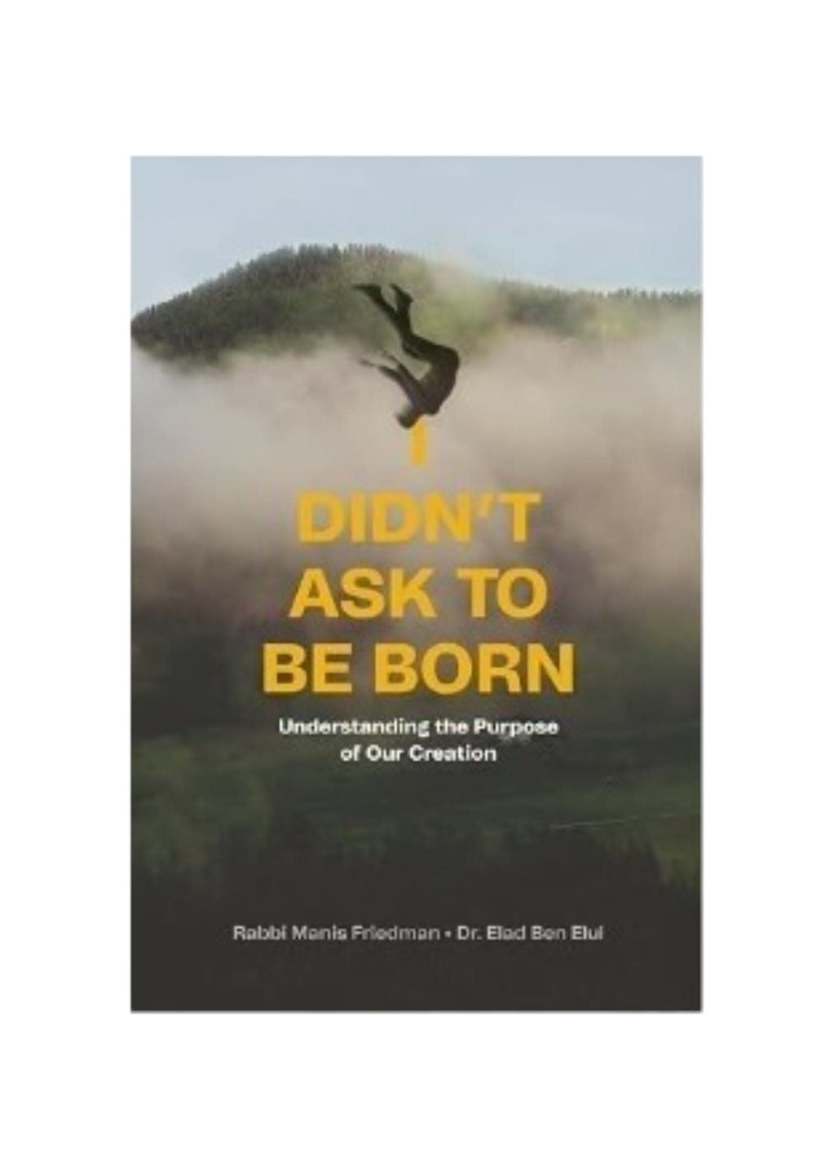 I DIDN'T ASK TO BE BORN [MANIS FRIEDMAN]