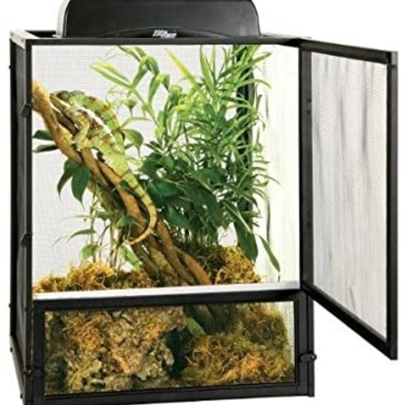 zoo med mesh cage