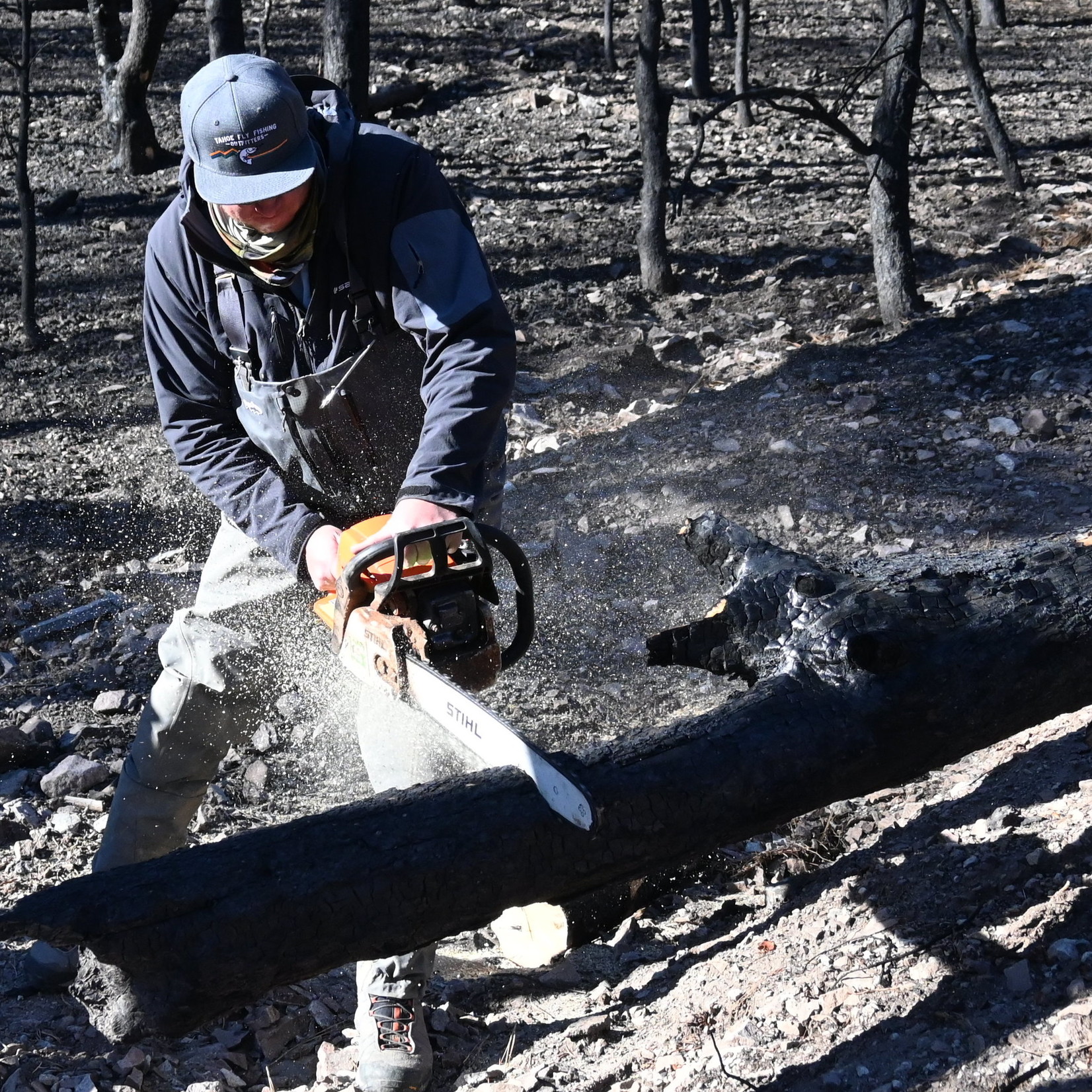 TFFO Classic Flat Hat