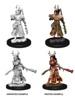 . DND UNPAINTED MINIS WV9 - Female Human Druid