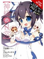 . IS WRONG PICK UP GIRLS DUNGEON DAYS GODDESS GN VOL 0