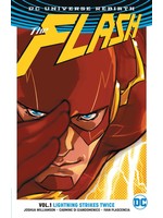 DC COMICS FLASH VOL 1 LIGHTNING STRIKES TWICE