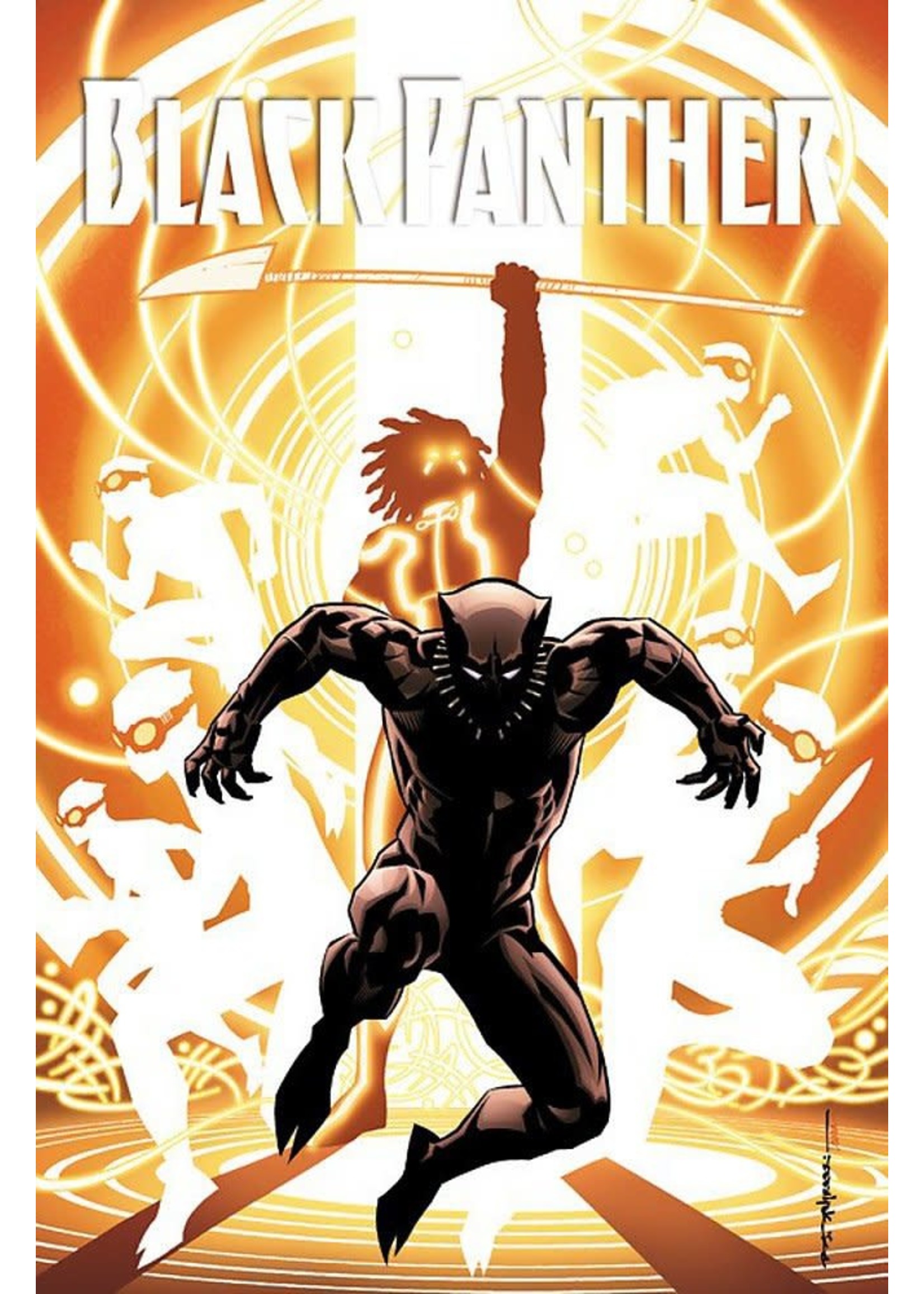 MARVEL COMICS BLACK PANTHER TP BOOK 02 NATION UNDER OUR FEET