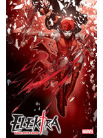 . ELEKTRA BLACK, WHITE & BLOOD #1 JONBOY VARIANT