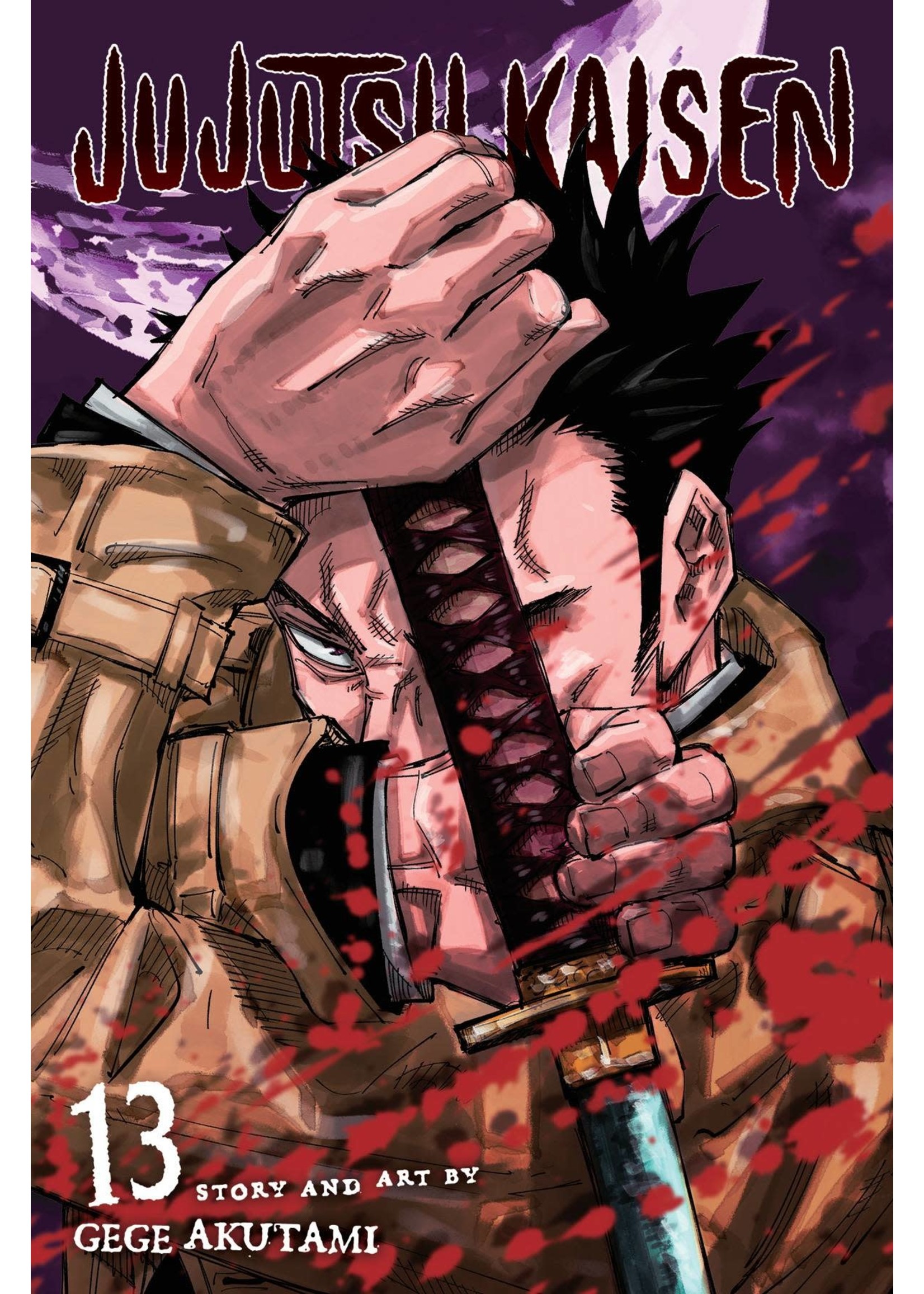VIZ MEDIA JUJUTSU KAISEN VOL 13