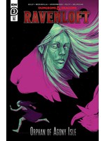 IDW PUBLISHING D & D RAVENLOFT ORPHAN OF AGONY ISLE #3 CVR C 10 COPY VAR