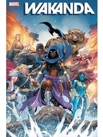 . WAKANDA #3 COELLO VARIANT