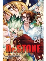 VIZ MEDIA DR STONE GN VOL 24