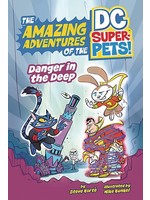 PICTURE WINDOW BOOKS DC SUPER PETS DANGER IN THE DEEP SC