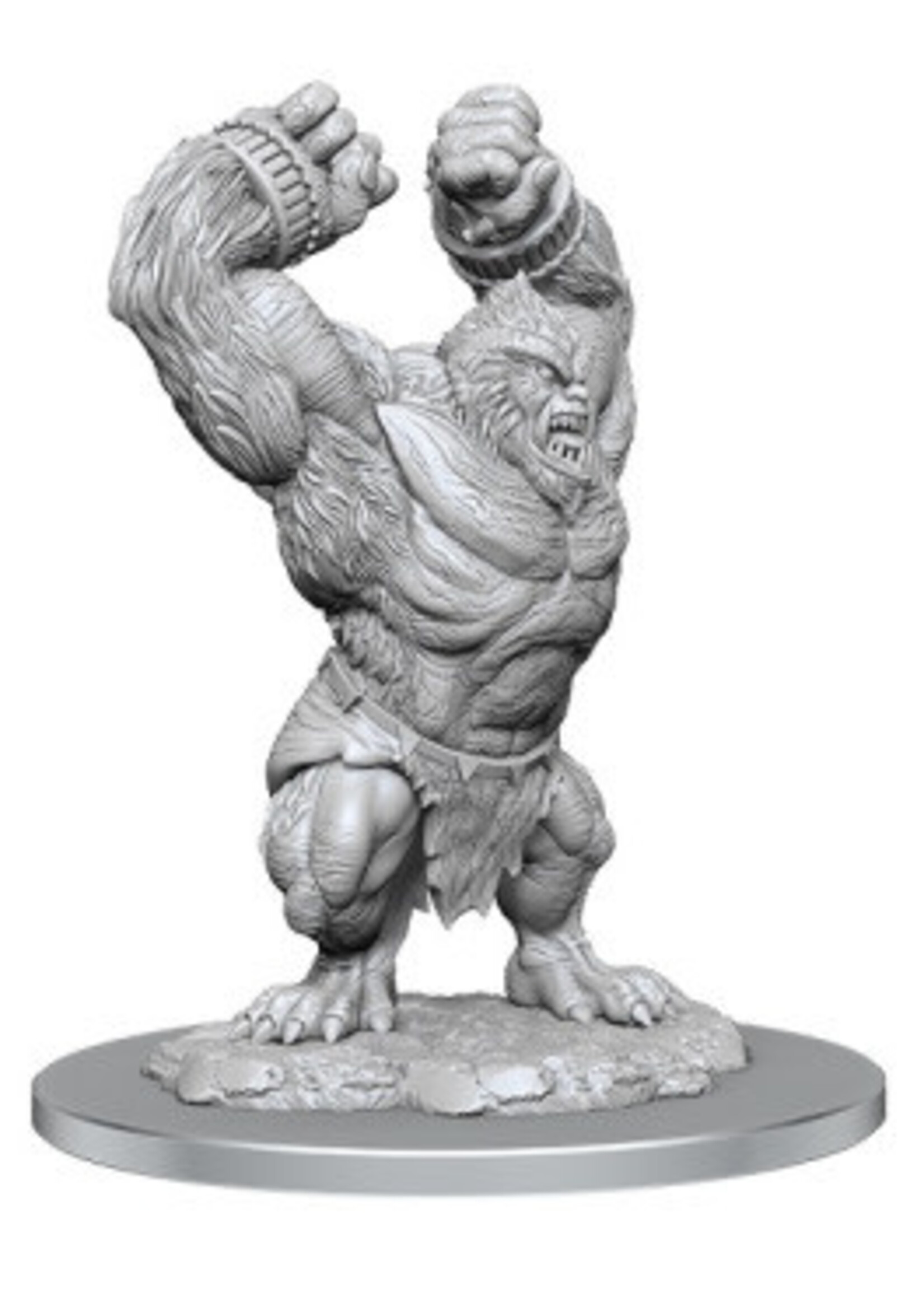 DND UNPAINTED MINIS WV21 BARLGURA