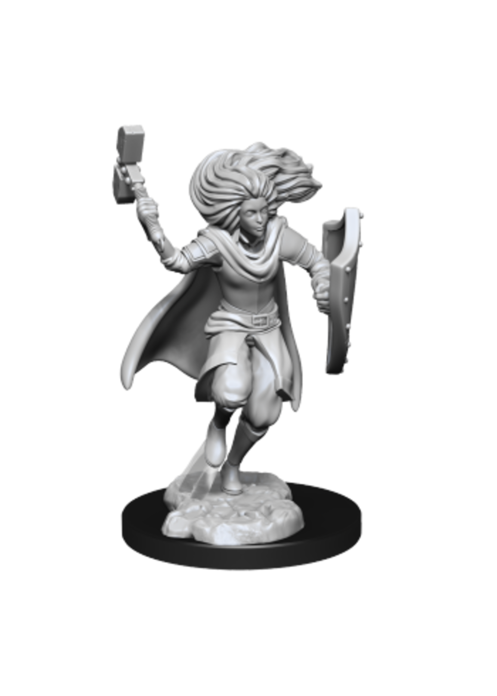 DND UNPAINTED MINIS WV14 CHANGELING CLERIC MALE